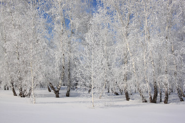 Similar image 22269039