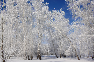 Similar image 22269040