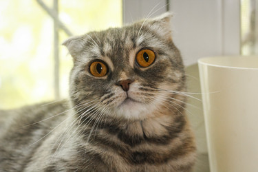 Similar image 22268618