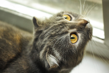 Similar image 22268619