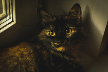 Similar image 22268637