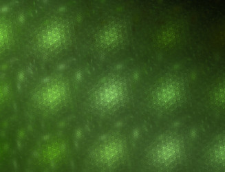 Similar image 22286517