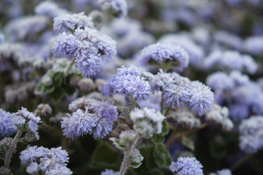 Similar image 22274677