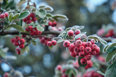 Similar image 22274678