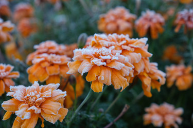 Similar image 22274680