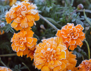 Similar image 22274681