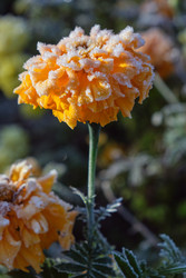 Similar image 22274682