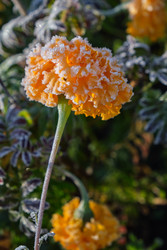 Similar image 22274684