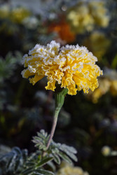 Similar image 22274686