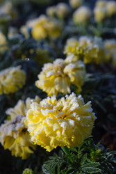 Similar image 22274687