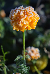 Similar image 22274690