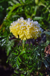 Similar image 22274691