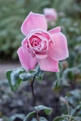 Similar image 22274693