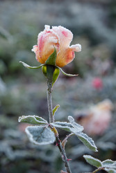 Similar image 22274695