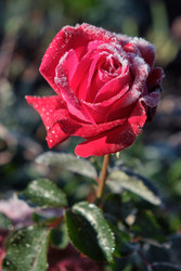 Similar image 22274697