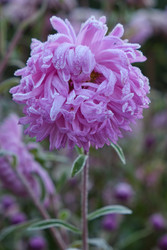 Similar image 22274698