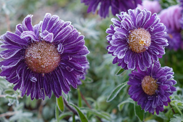 Similar image 22274699