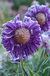 Similar image 22274700