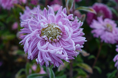 Similar image 22274701