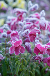 Similar image 22274705