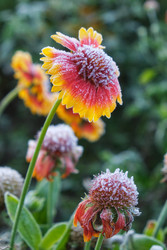 Similar image 22274706