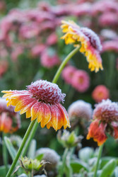 Similar image 22274707