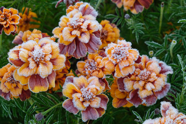 Similar image 22274708