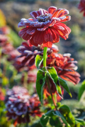 Similar image 22274710