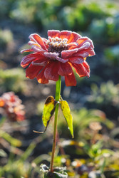 Similar image 22274711