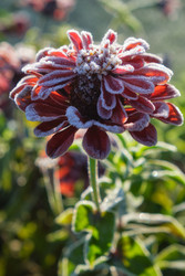 Similar image 22274712