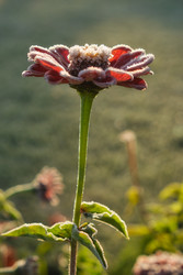 Similar image 22274713