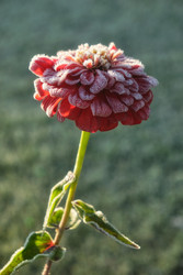 Similar image 22274715