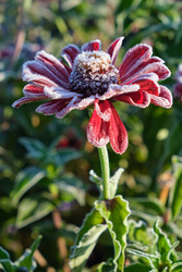 Similar image 22274719