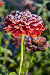 Similar image 22274720