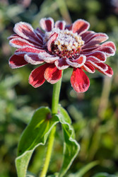 Similar image 22274721