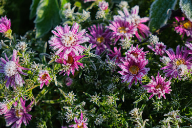 Similar image 22274723