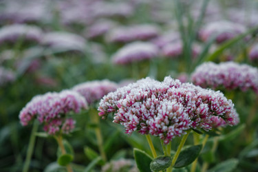 Similar image 22274725