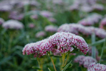 Similar image 22274726