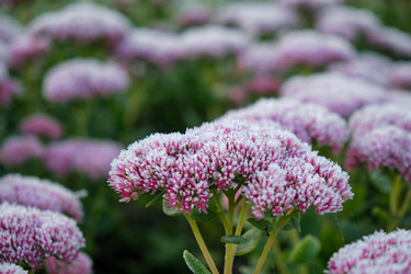 Similar image 22274727