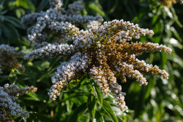 Similar image 22274728