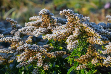 Similar image 22274729