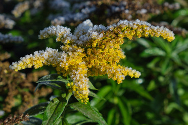 Similar image 22274730