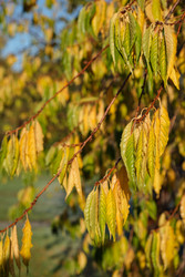 Similar image 22274731