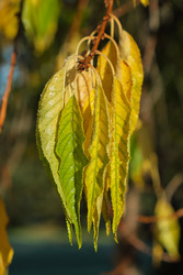 Similar image 22274732