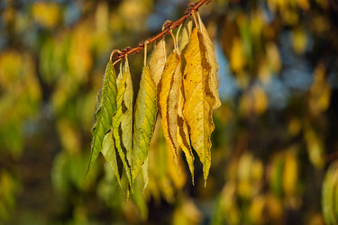 Similar image 22274733