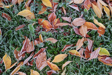 Similar image 22274736