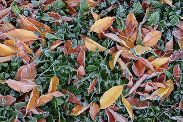 Similar image 22274737