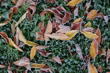 Similar image 22274738