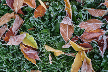 Similar image 22274739