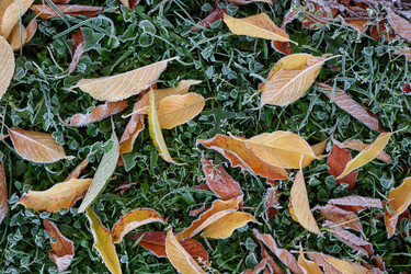 Similar image 22274740